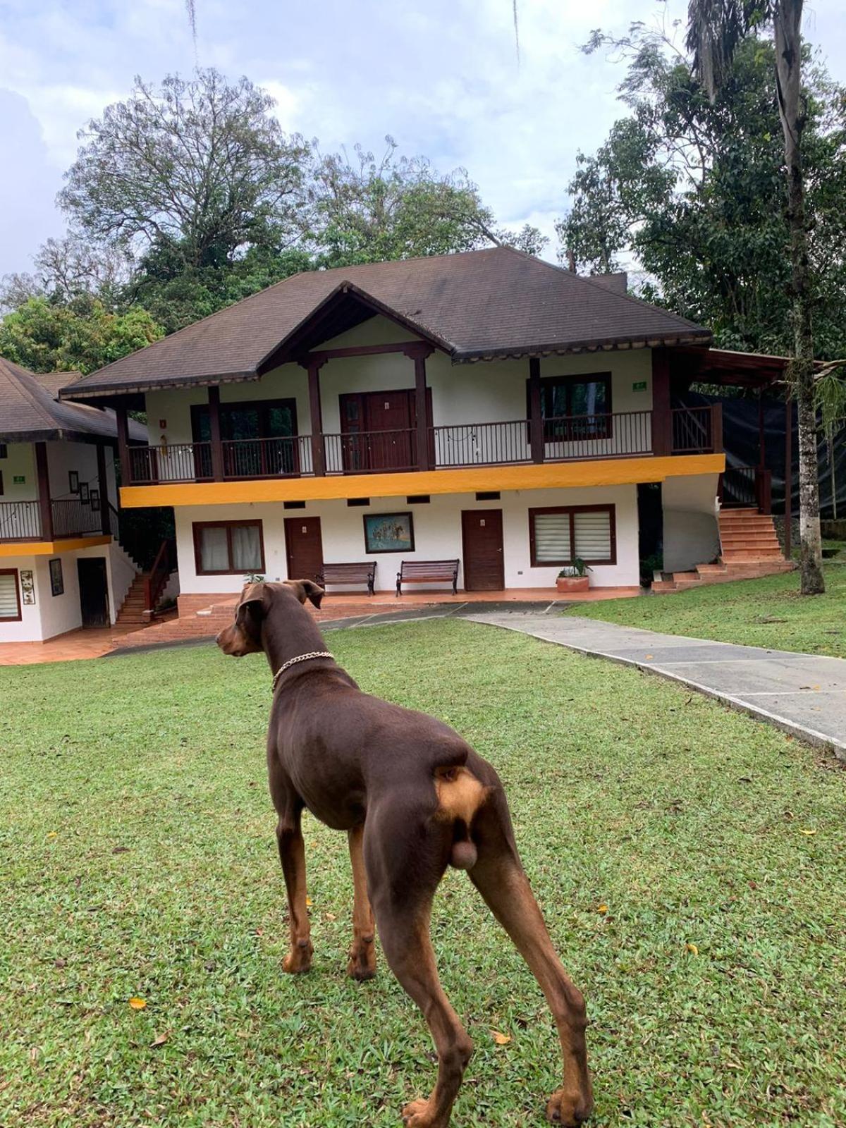 Finca Hotel La Consentida Escondida San Jerónimo Dış mekan fotoğraf